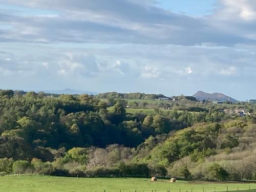 a green field with two animals grazing in the distance at Roslin Glamping in Roslin