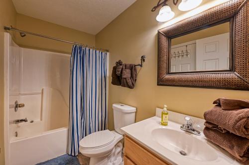 a bathroom with a toilet and a sink and a mirror at High N Dry-Quiet River Access Neighborhood, 1 Mile to Parkway, 5 Miles to Dollywood! in Pigeon Forge