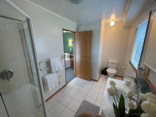 een badkamer met een douche, een wastafel en een toilet bij Tikitere Lodge, Rotorua in Rotorua