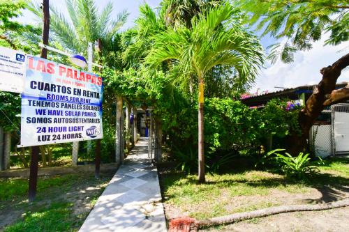 Gallery image of Las Palapas de Punta Allen in Punta Allen