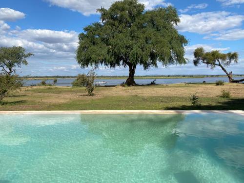 un grand bassin d'eau avec un arbre en arrière-plan dans l'établissement Bubezi Camp, à Mafuta