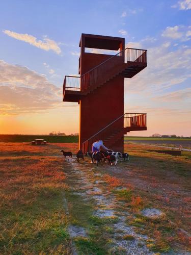 a man with a group of dogs in front of a tower at BenB Zuidoord in Zuidland