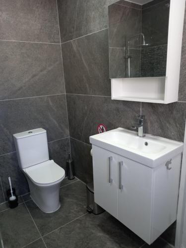 a bathroom with a toilet and a sink and a mirror at Achilles Heel in Kornos