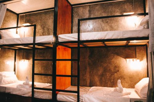 a room with three bunk beds in it at The Hangover Hostel in Moalboal
