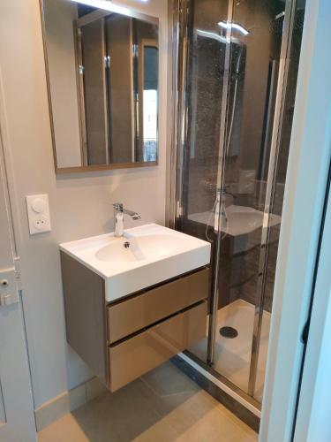 une salle de bain avec un lavabo et une douche dans l'établissement 3 rooms, 2 bathrooms, in a villa. Lightfull, quiet and charm, à Cannes