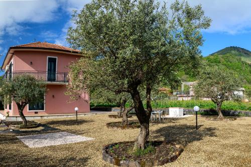 a tree in a yard in front of a house at Bee Happy - Bed and Breakfast in Zafferana Etnea