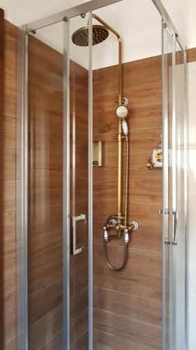 um chuveiro com uma porta de vidro na casa de banho em Francy&Francy Apartment em Pitigliano