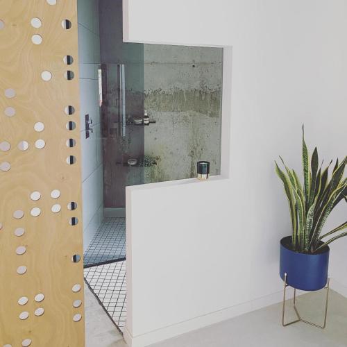 a bathroom with a shower and a potted plant at EBLI Corner in San Miguel de Salinas