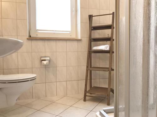 a bathroom with a toilet and a ladder in it at Komfortappartement Kopenhagen in Sassnitz