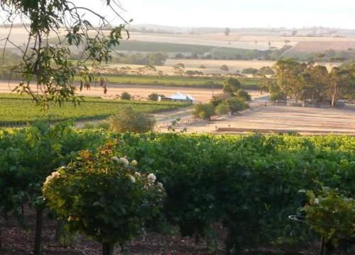a view from a distance of a grassy area with trees at Blickinstal Barossa Valley Retreat in Bethany