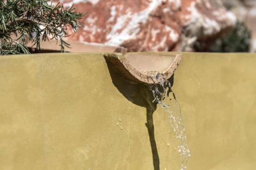 a bird drinking water from a fountain at The Olive Yard in Gythio