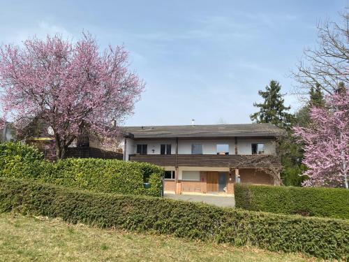 ein Haus mit Büschen und Bäumen davor in der Unterkunft Apartments in Leafy Suburb in Kehrsatz