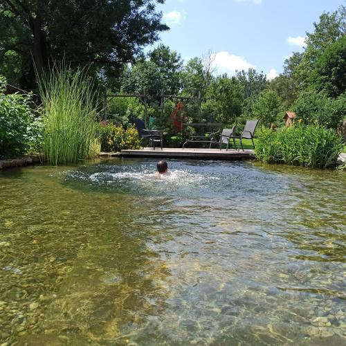 a man swimming in a pool of water at U Svatého Petra in Kájov