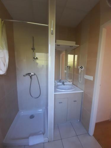 a bathroom with a shower and a sink at Relais du Bois du Four in Saint-Léons