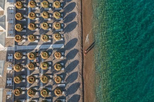 an overhead view of a group of cars parked next to the ocean at Otel Beyaz İnci in Palamutbuku