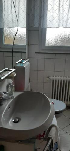 a bathroom with a sink and a toilet and a window at Ferienwohnung Gutowski in Andernach