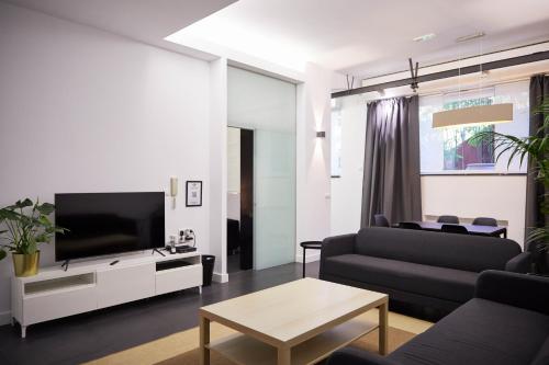 sala de estar con sofá y TV en LOFT PRINCIPE PIO en Madrid