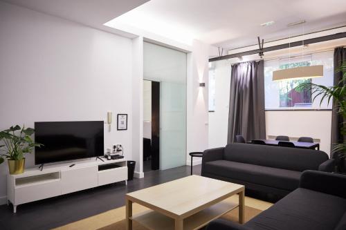 Una sala de estar con un sofá y un televisor. en LOFT PRINCIPE PIO, en Madrid