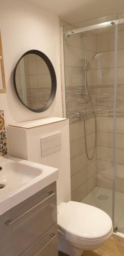 La salle de bains est pourvue d'une douche, de toilettes et d'un miroir. dans l'établissement Adorable studio 25m² très calme avec parking, à Marseille