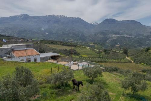 Γενική θέα στο βουνό ή θέα στο βουνό από  αυτή η βίλα
