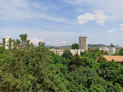 Fotografie z fotogalerie ubytování Sunny Apartment Budapest v Budapešti