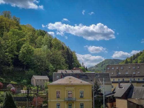 Gallery image of Ferienappartements Elbaussicht - Krippen in Bad Schandau
