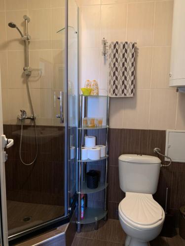 a bathroom with a toilet and a shower at Апартамент Silver Star in Sozopol
