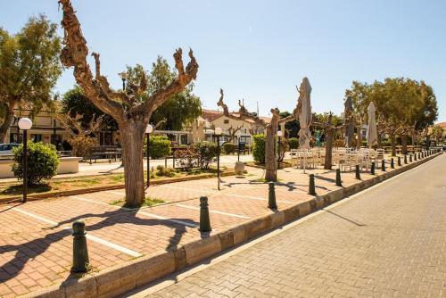 a street with trees and benches on a brick road at Lavrio stone house 5 min from the centre/port in Lávrion