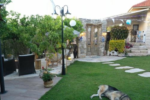 a dog laying on the grass next to a house at לאורה in Umm el Shuf