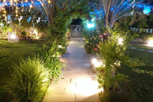 a walkway in a garden at night with lights at לאורה in Umm el Shuf