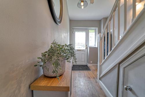 Guest Homes - Coney Green – Photos 4
