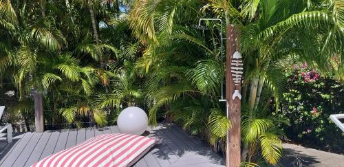 a deck with a bench and palm trees at VILLA TOCADE in Saint-François