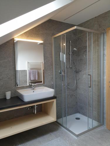 y baño con lavabo y ducha. en Stockerhof, en San Lorenzo di Sebato