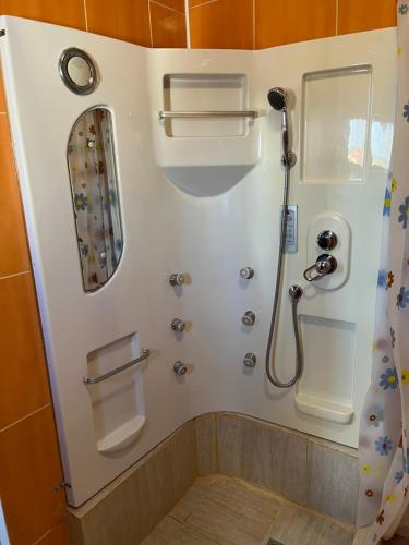 a bathroom with a shower and a toilet at JACOB's VILLA in Constanţa