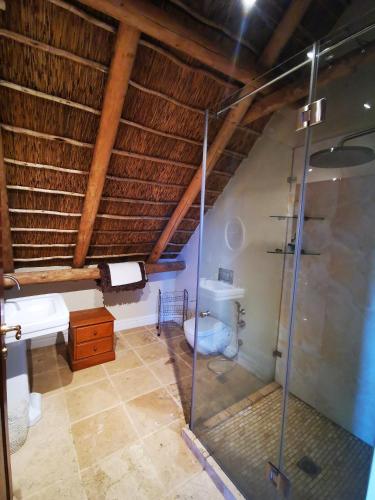a bathroom with a glass shower and a toilet at Gemoedsrus Farm in Stellenbosch