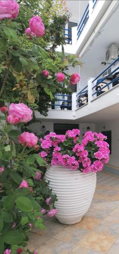a large white vase filled with pink flowers at Akrogiali in Skala