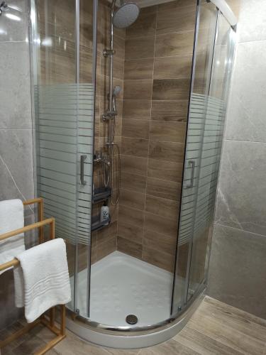 y baño con ducha y puerta de cristal. en Kypseli studio rhodes, en Kremasti