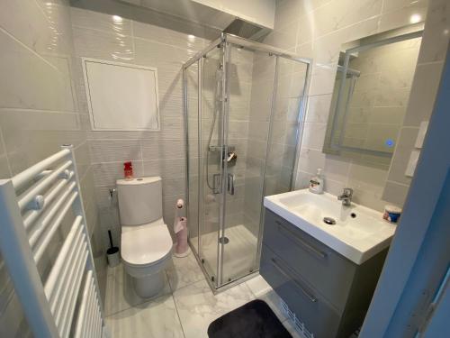 une salle de bain avec une douche, des toilettes et un lavabo dans l'établissement La merveille de Rochebonne 1, à Saint-Malo