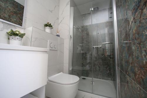 a bathroom with a toilet and a glass shower at Premier Laguna Apartment in Lovište