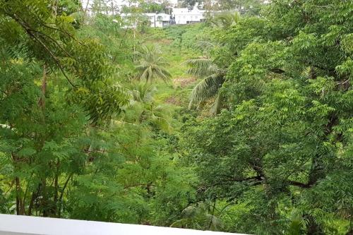 a view of a lush green forest with trees at Hill Bottom Accommodation in Suva