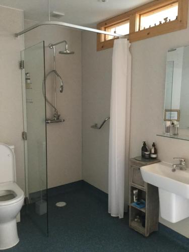 a bathroom with a shower and a toilet and a sink at Auld Skuil in Ashkirk