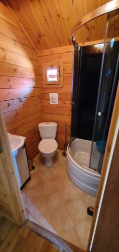 a bathroom with a toilet and a shower in a cabin at Wantaris 2 - domki letniskowe in Mielenko