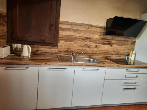 eine Küche mit einem Waschbecken und einer Holzwand in der Unterkunft La Tuilerie in Melin