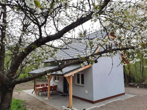 a small white house with a tree at Noclegi Różanka in Radomierz