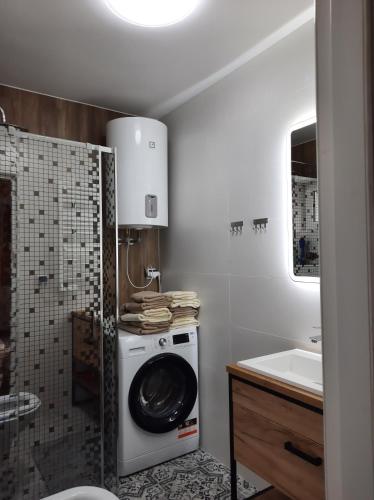 a bathroom with a washing machine and a sink at Noclegi Różanka in Radomierz