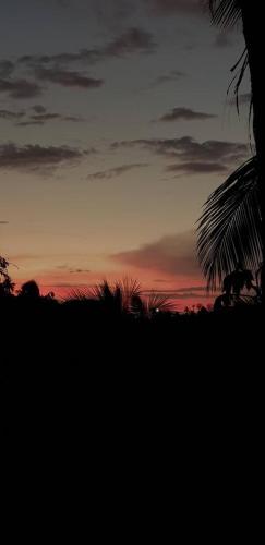 a sunset with a palm tree and the sky at Hill Bottom Accommodation in Suva