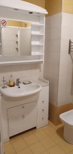 Casa House 381