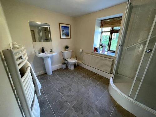 a bathroom with a shower and a toilet and a sink at Y Felin Bed and Breakfast and Smallholding in Caersws