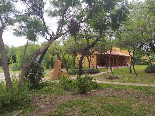 a building in the middle of a park with trees at Las Casitas, cabañas & suites in Pincén