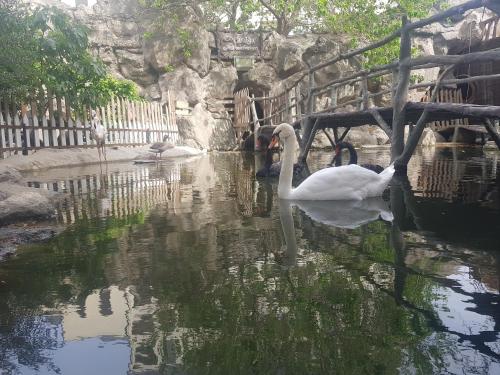 AAAF Park Villas & Residences – Photos 5